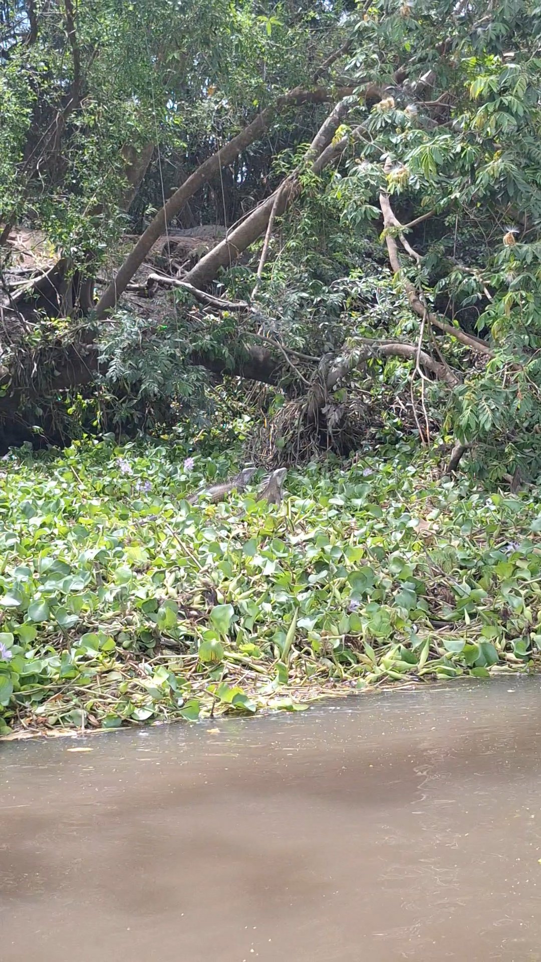 VideoCapture_20250209-121949.jpg
