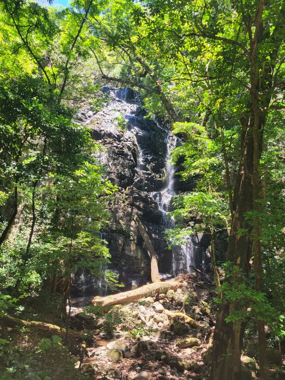 20230404_120937 (1).webp