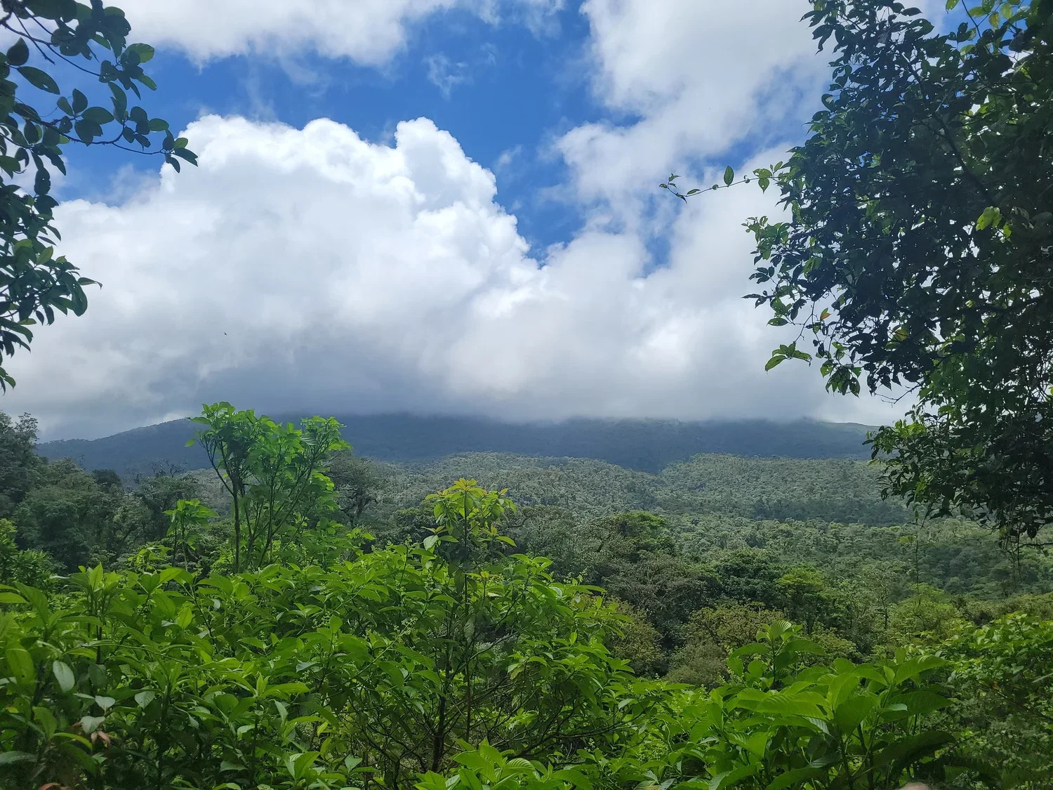 20230330_112750 (1).webp