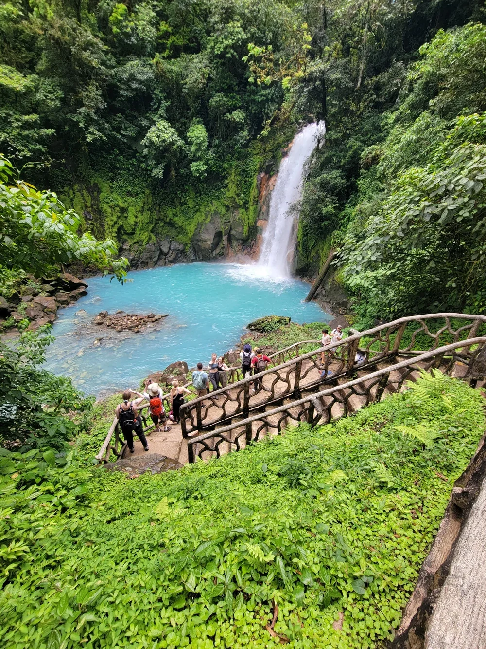 20230330_124416 (1).webp