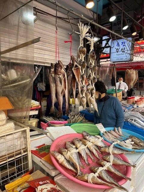 fish displayed at the market in Korea