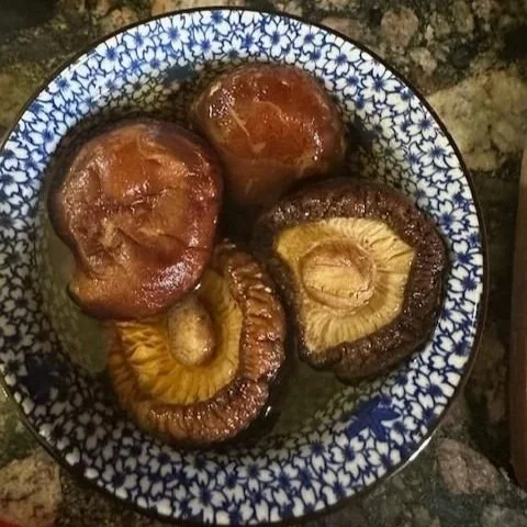 shiitake mushrooms soaking in water