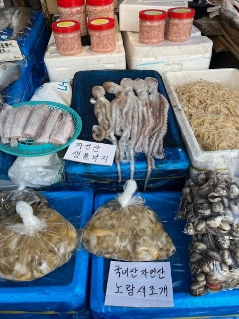 seafood displayed at a market in Korea