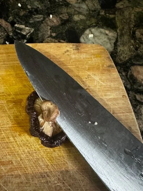 shiitake mushroom being cut