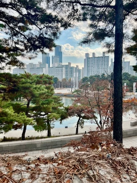 Park at the National Museum