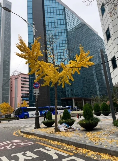Seoul Stree