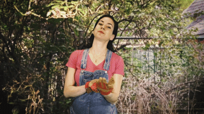 gardens_clip.gif