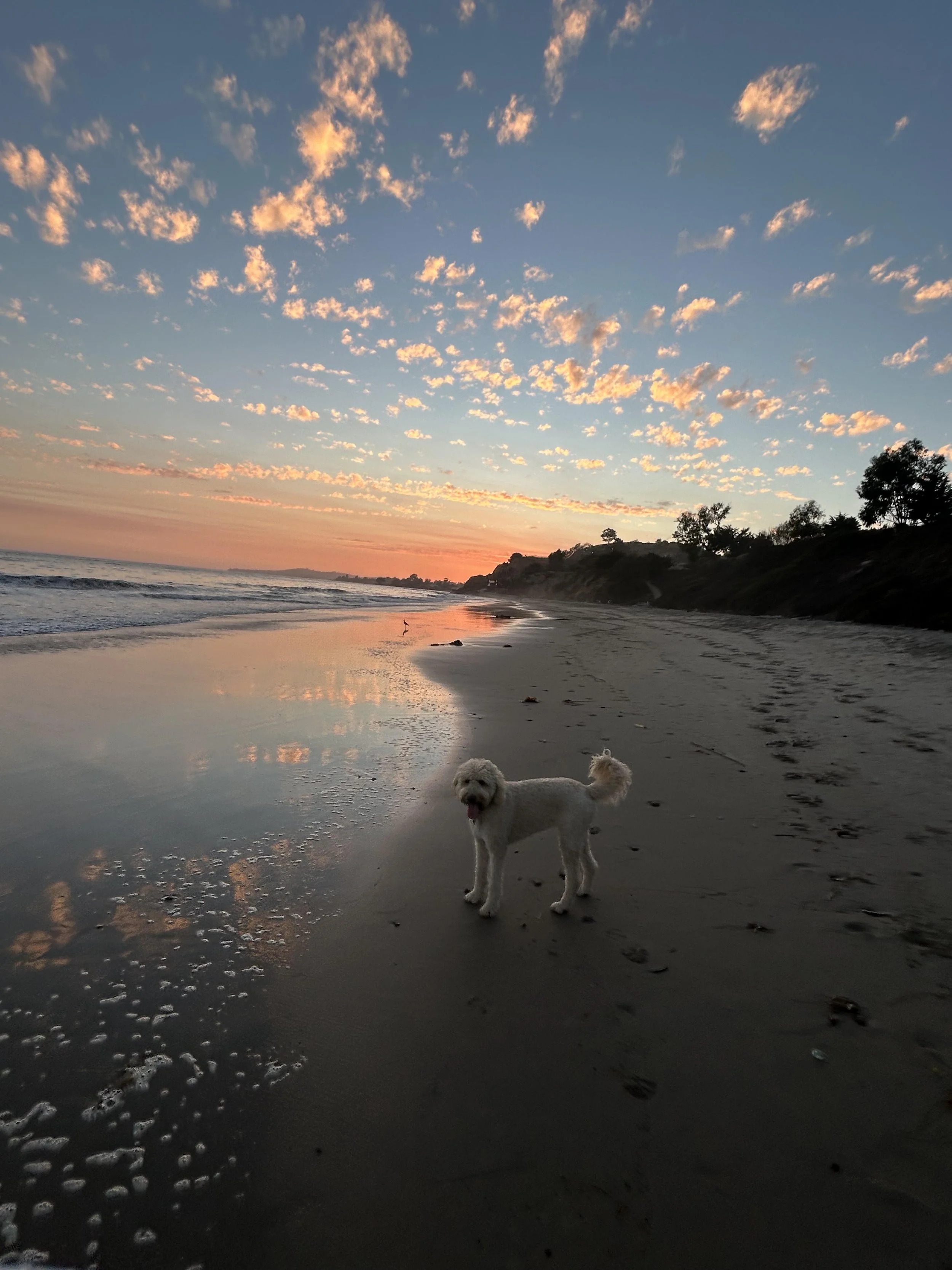 stella beach.jpg