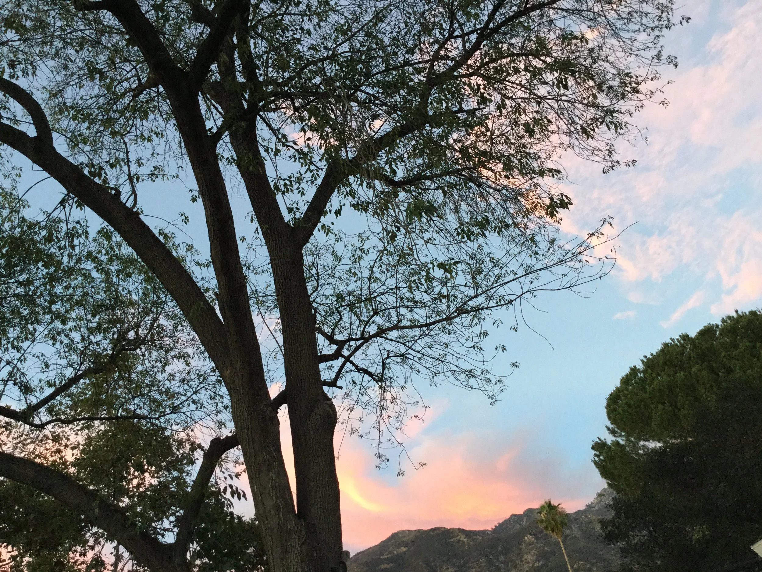 IMG_0055.jpeg