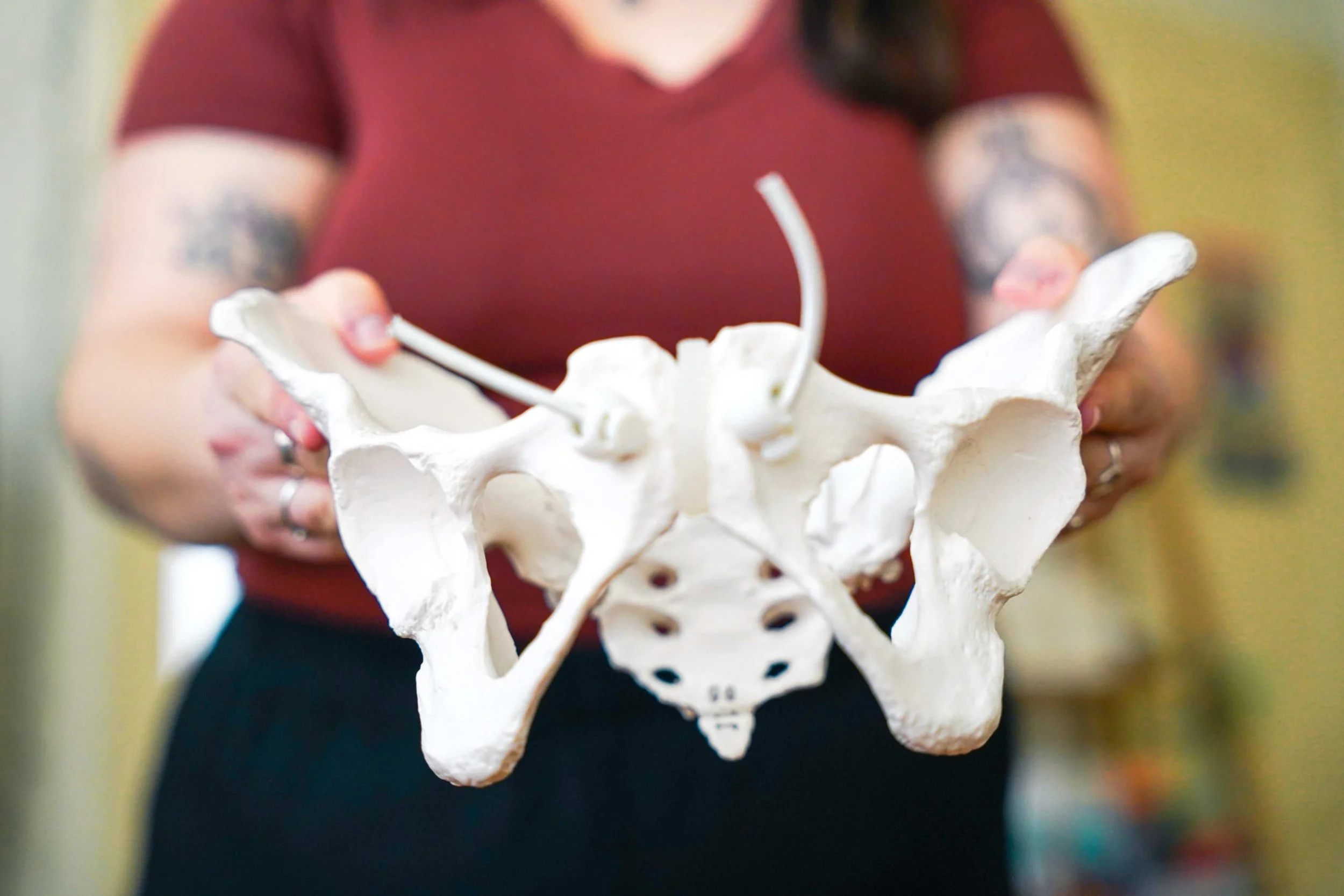 doula holding a model of a pelvis to educate clients about their anatomy and fetal descent during birth