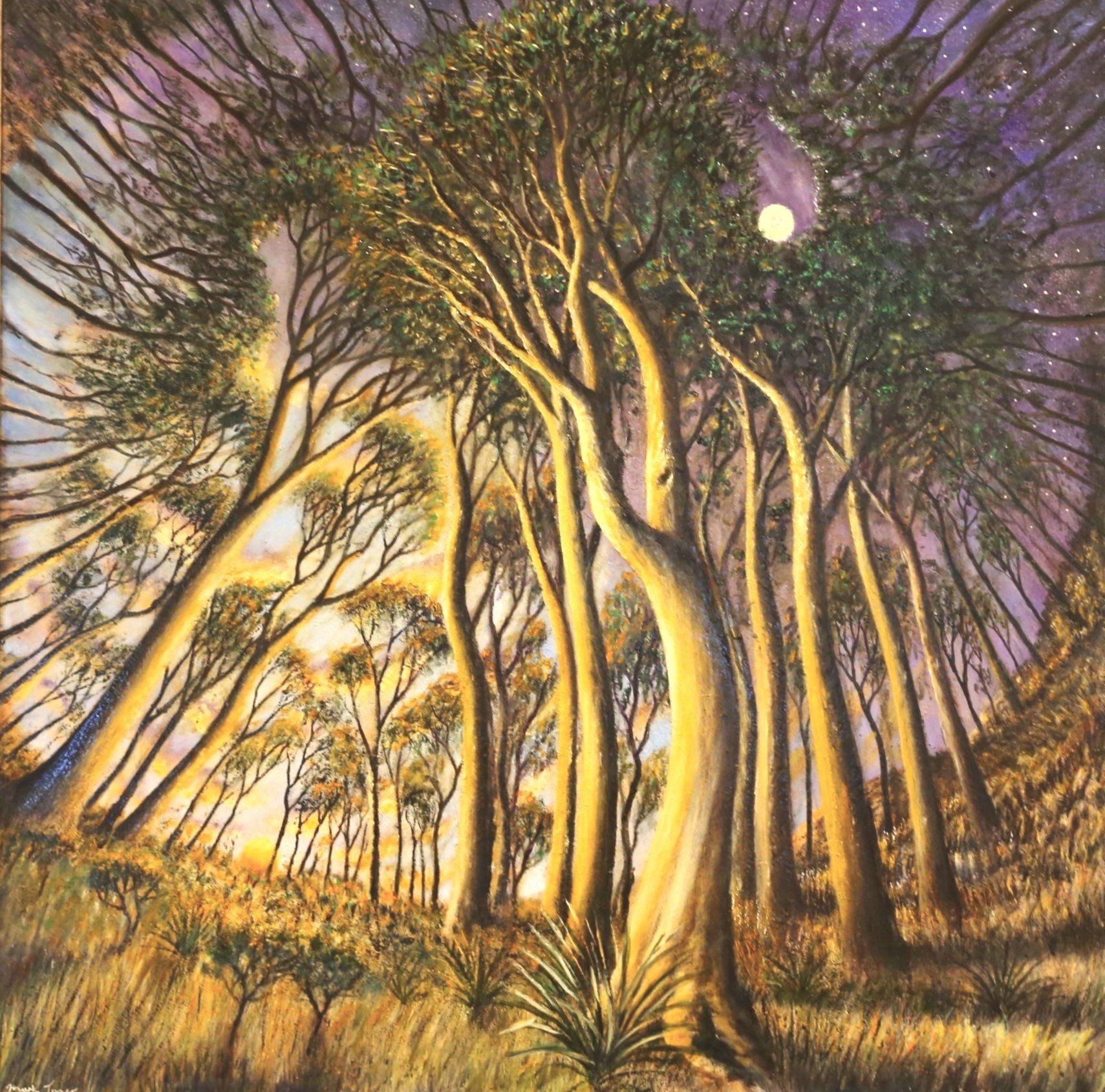 Nightfall Horizon
