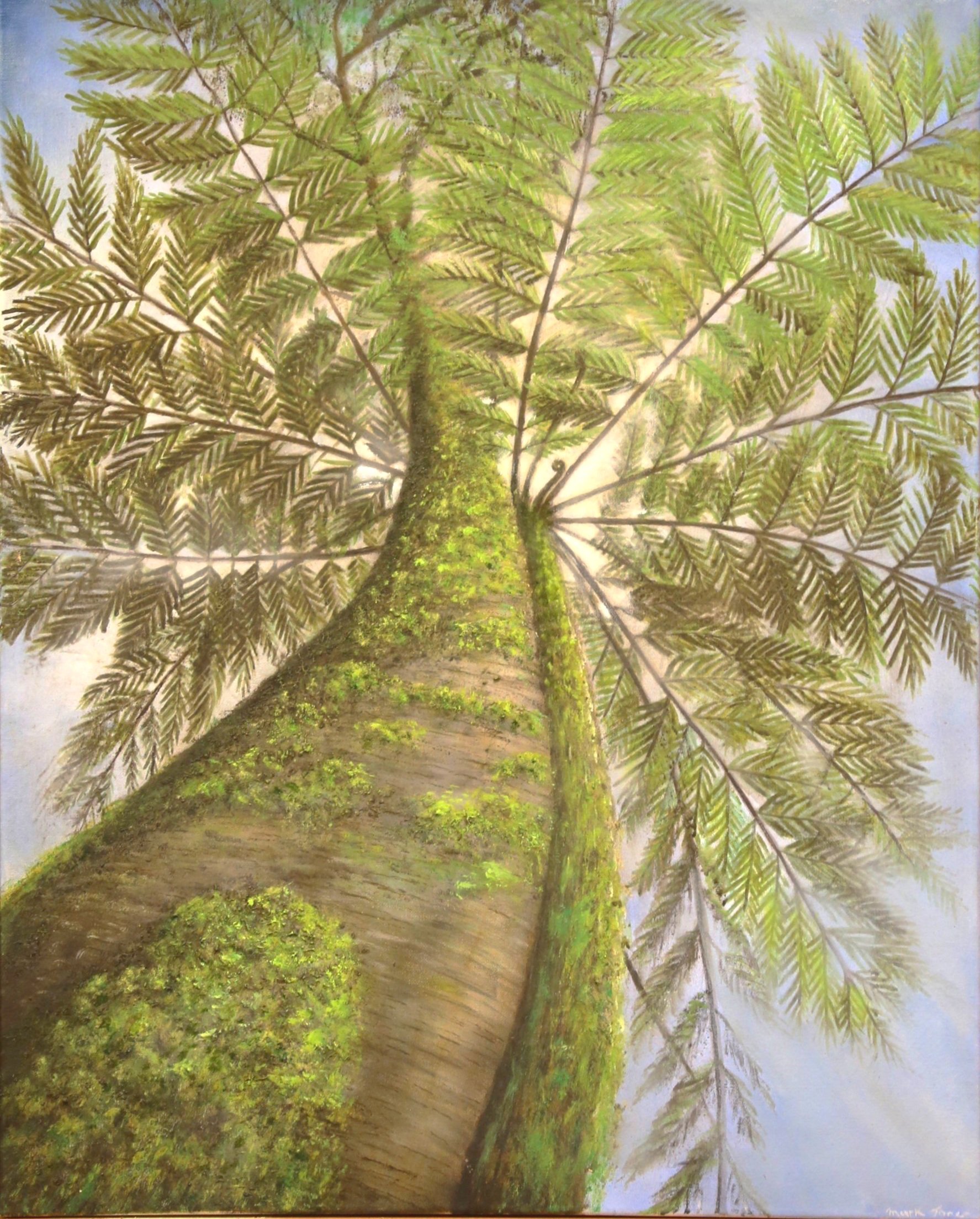 Tarkine Pairing