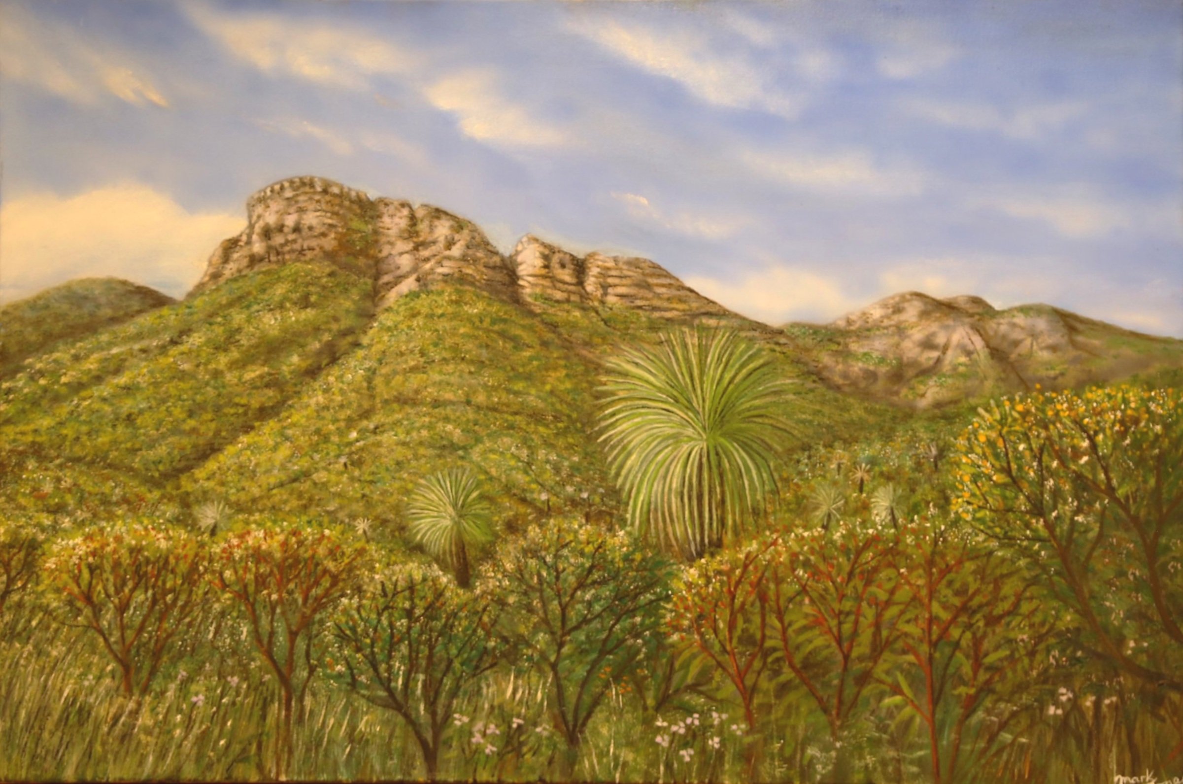 Stirling Bluff