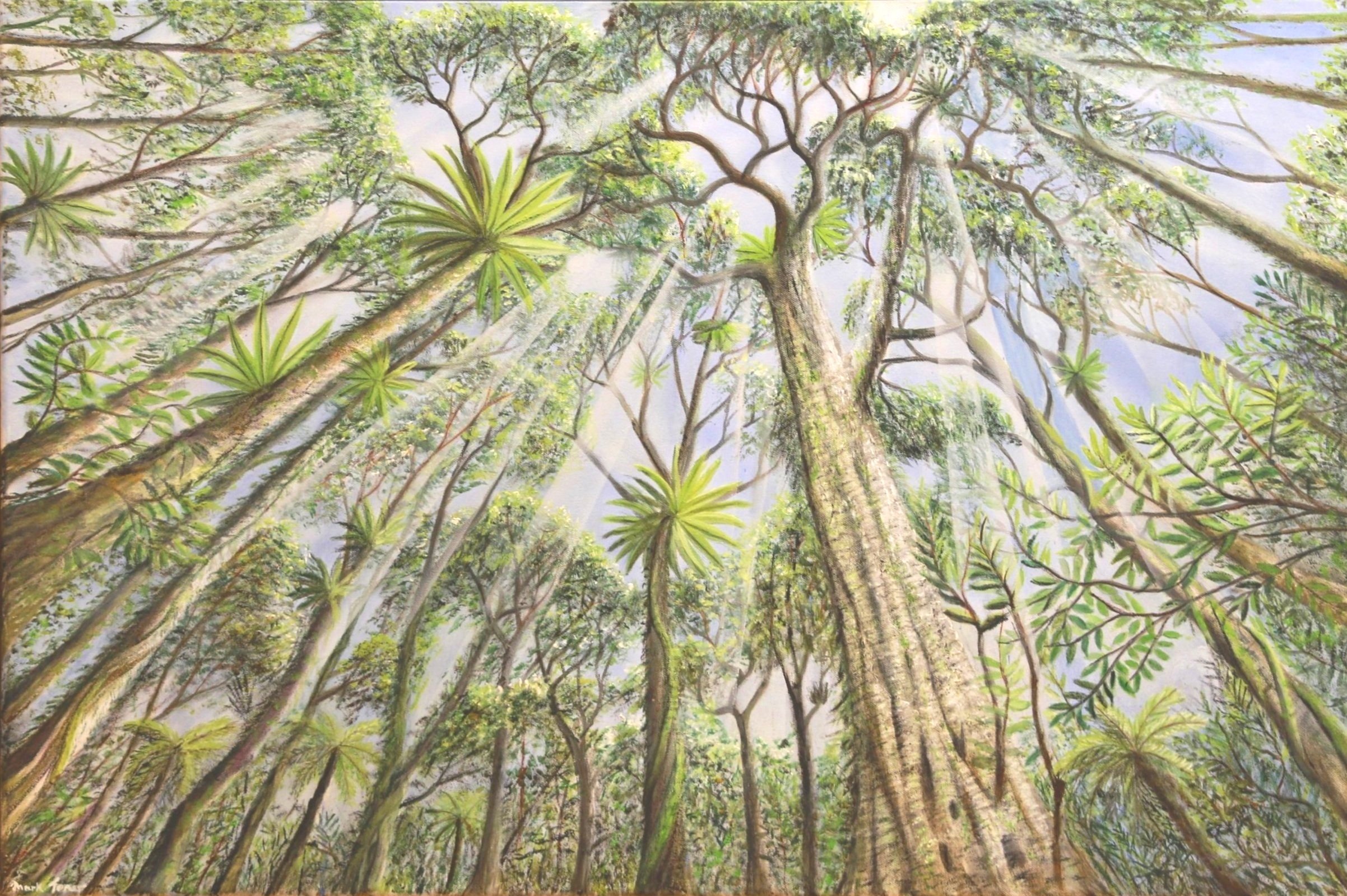 Slice of Gondwana