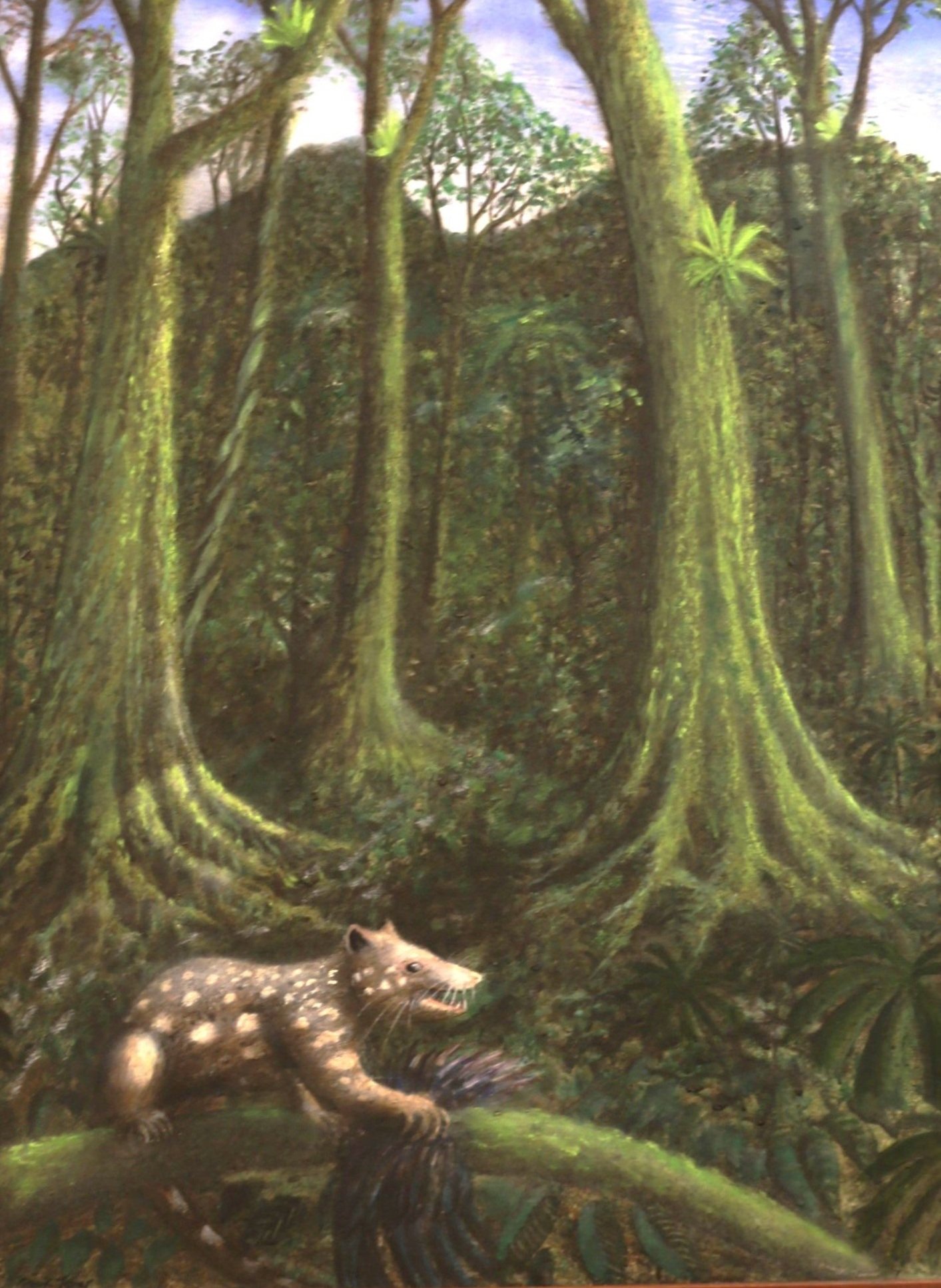 Quoll's Delight