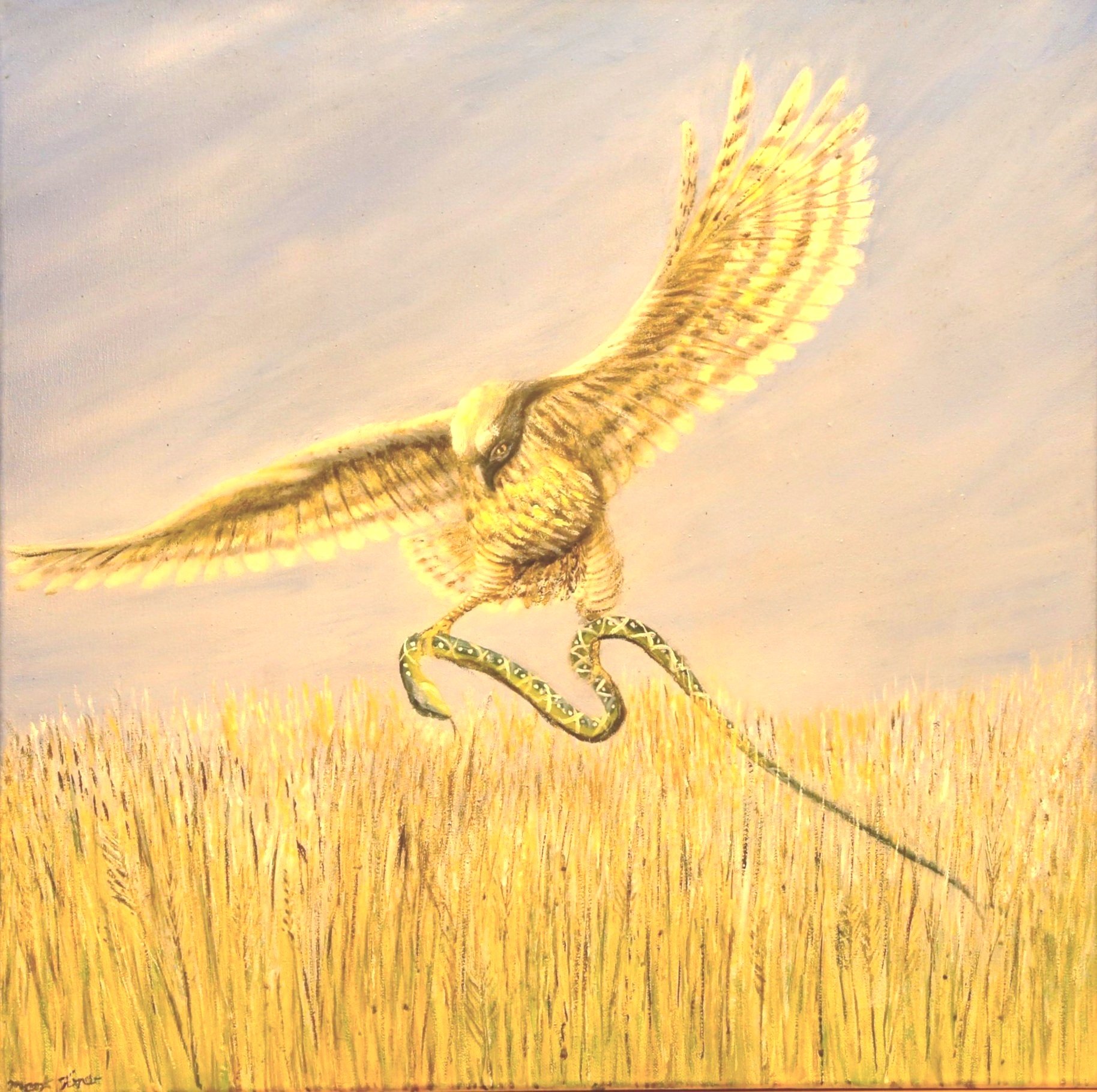 Bird and Prey