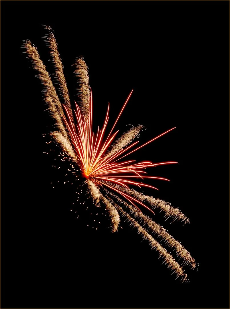 GOLD FEATHERS_JP Watson_03-26_assigned.jpg