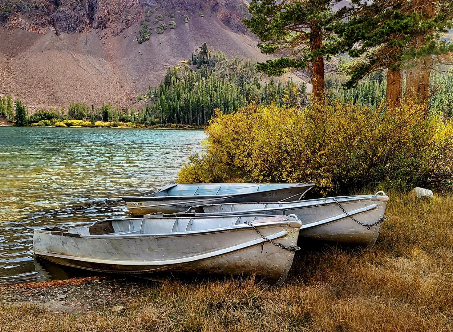 VIRGINIA LAKES BOATS_JP Watson_Open_01-26.jpg