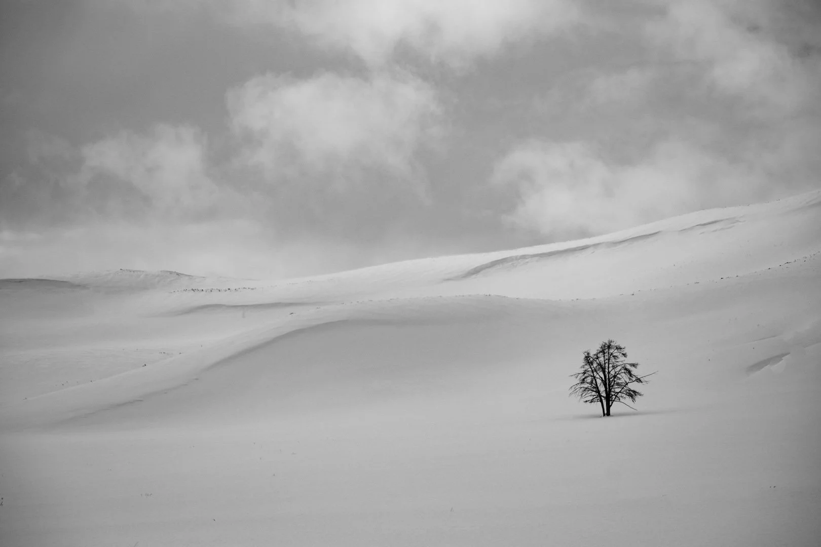 OUT IN THE COLD_Sue Hall_03-11_Assigned.jpg.jpg