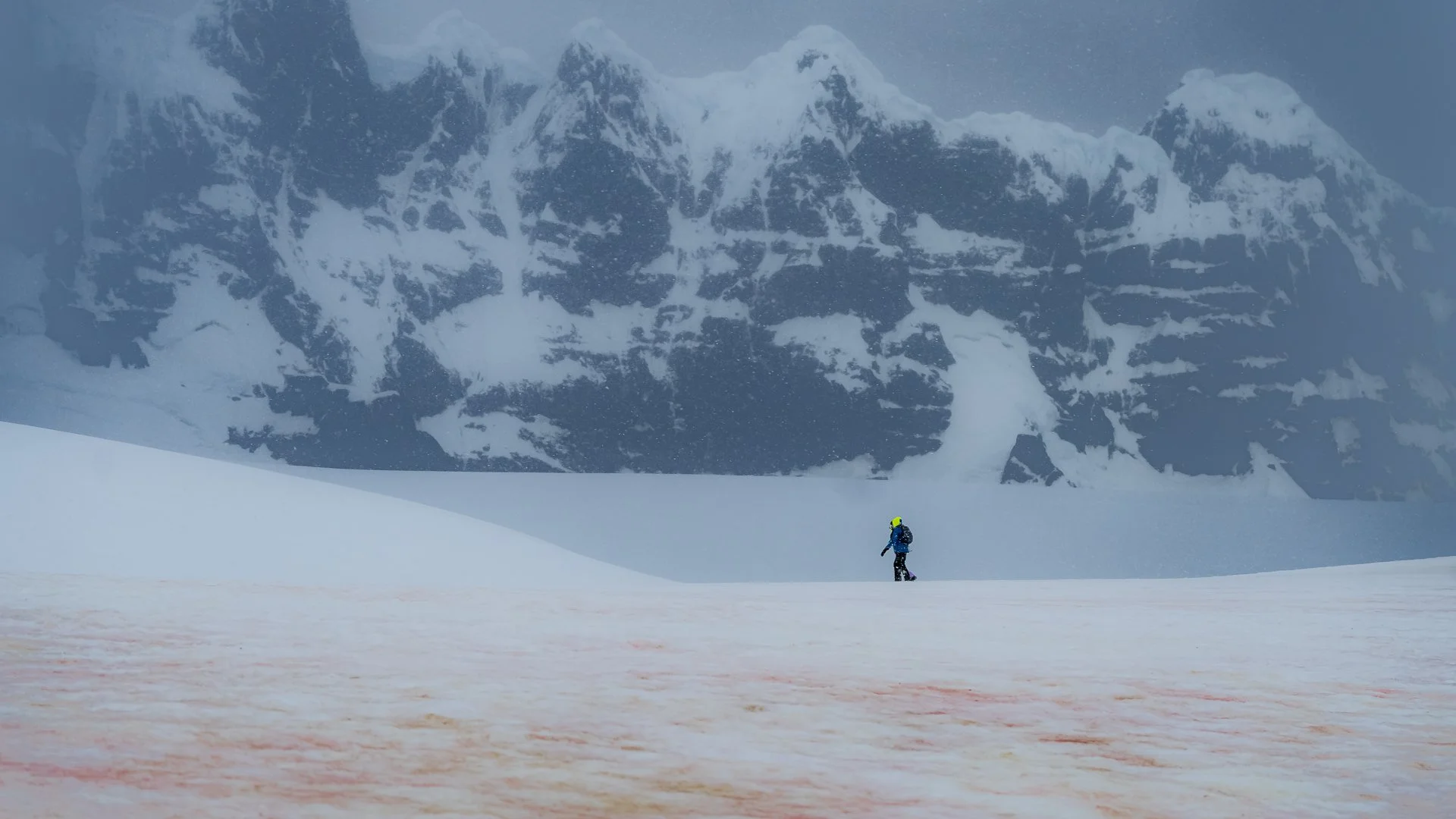 Against the Giants_Hanh Tran_3-26_Open.jpg