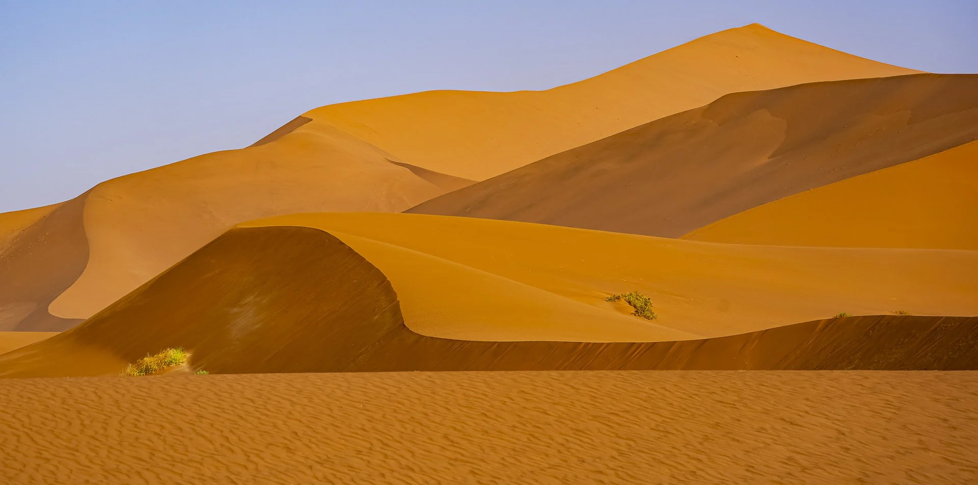 Copper Waves_Hanh Tran_3-26_Assigned.jpg