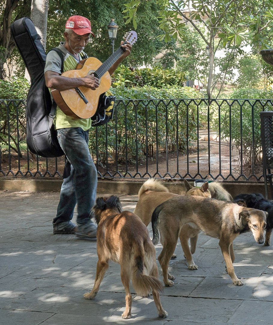 TROUBADOR_Ron Lindsay_02-26_Assigned.jpg