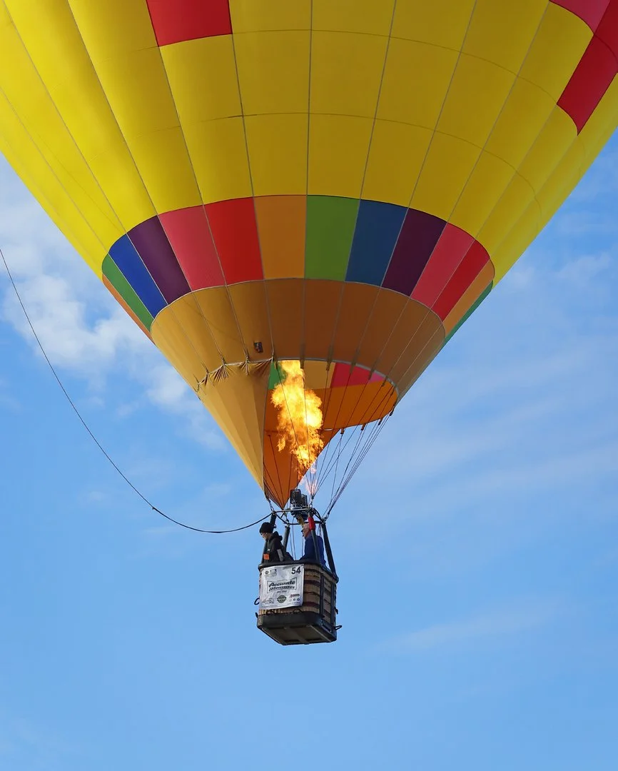 JP Watson_SUNSATIONAL_02-26_open.jpg