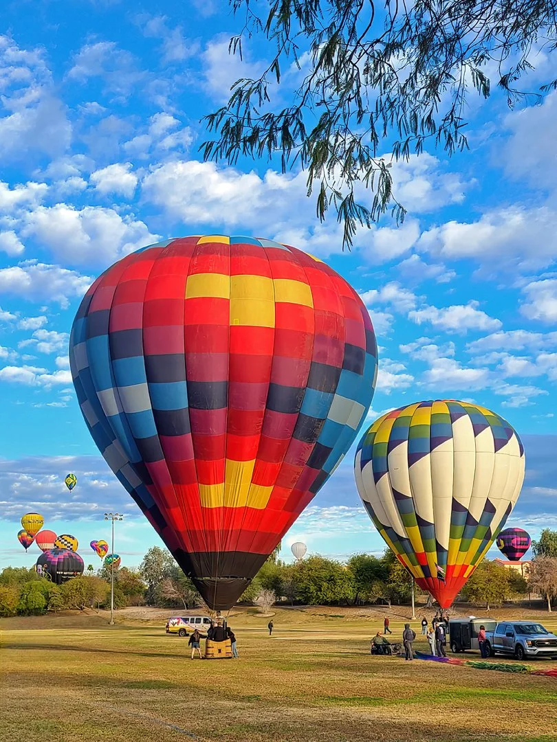 WIND DANCER_JP Watson_02-26_open.jpg