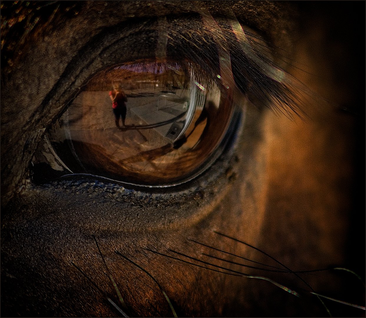 AS HE SEES ME - Susannah Kramer.jpeg