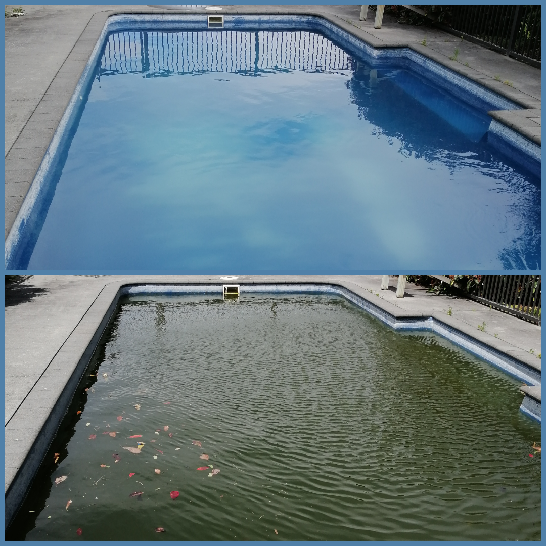Comparison of a clean swimming pool and a pool filled with dirty, murky water with floating debris.