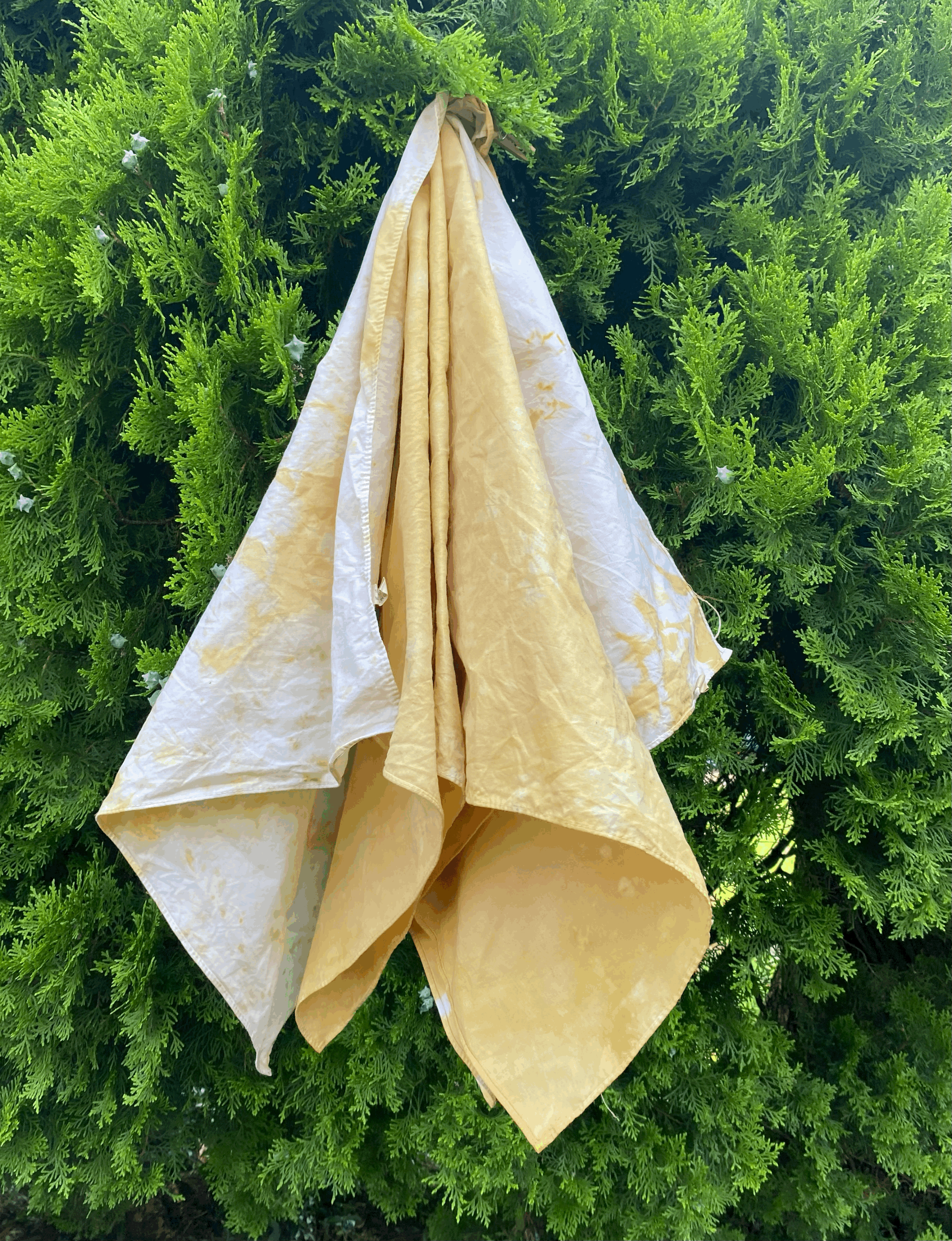 Naturally Dyed Cotton Bandana