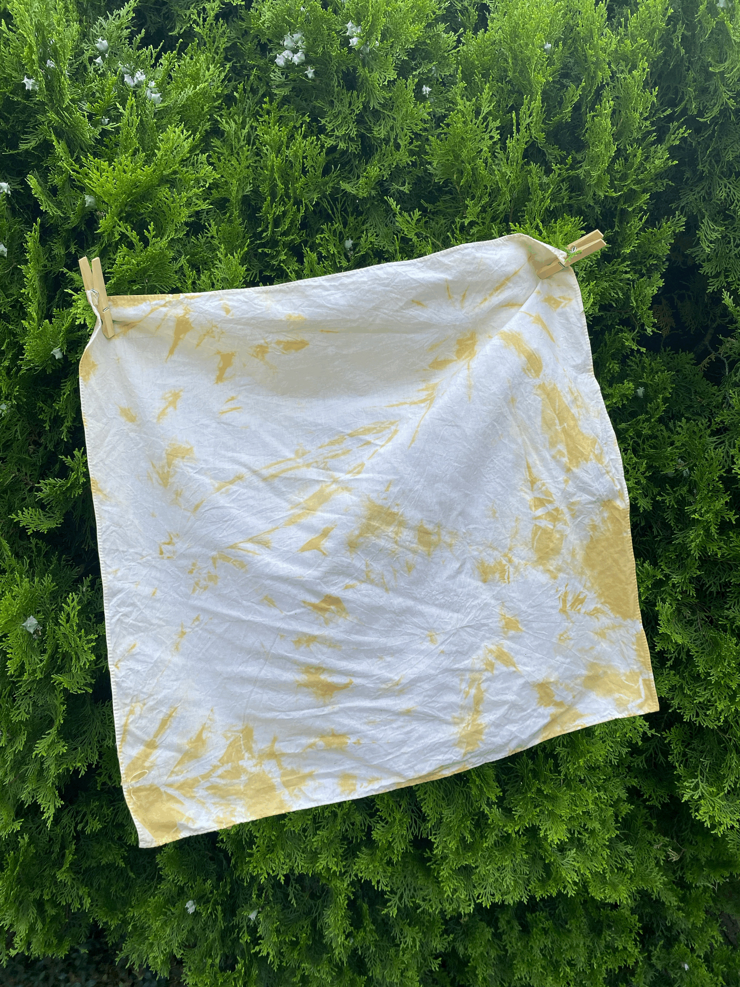 tempImageZHxelX.gif