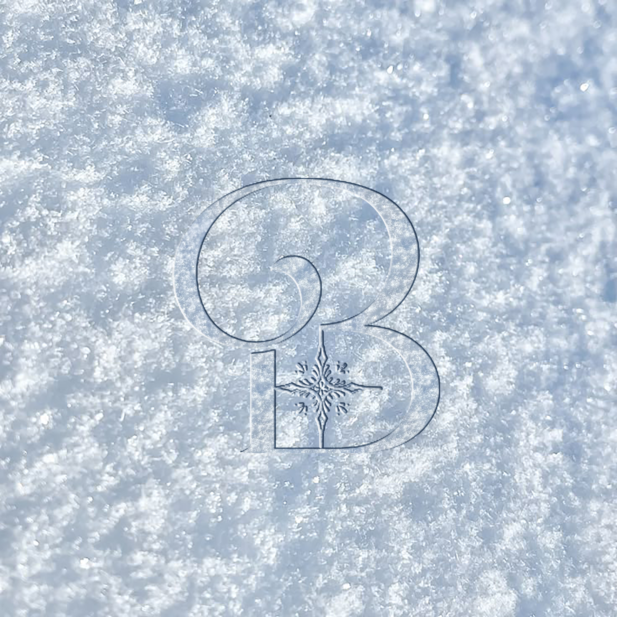 snowlogo copyfinal.png