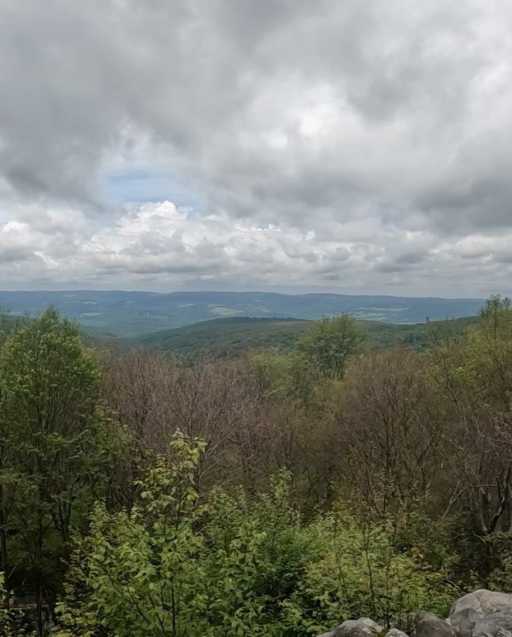 This year marked my fifth year running one of my favorite races of all time! My family friends have been doing this ultra race for 19 years (!!), and getting to be a part of it has become something I look forward to every single year.

I love it for 