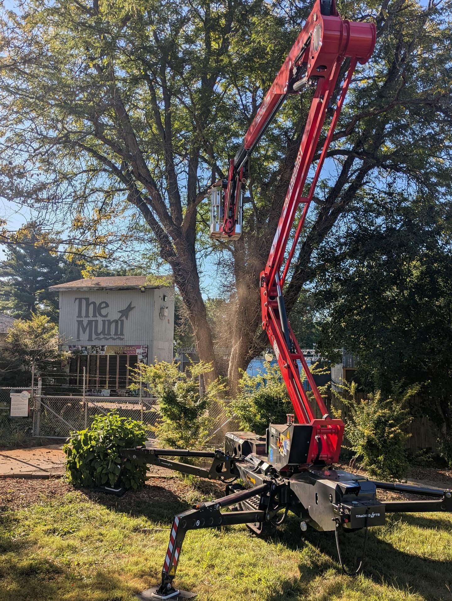 Tree removal at the Muni in Springfield Illinois using a backyard track lift.