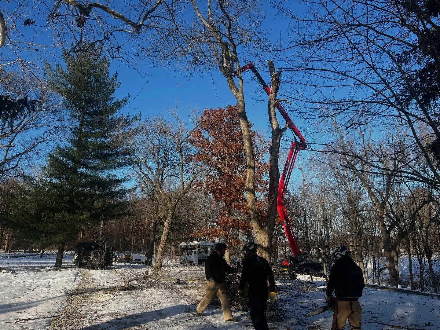 STS Backyard Lift.jpg