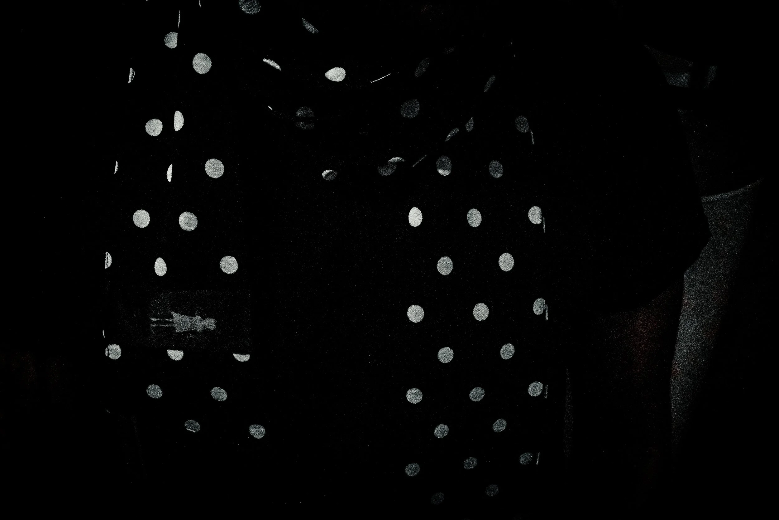 _DSF0337-2.jpg