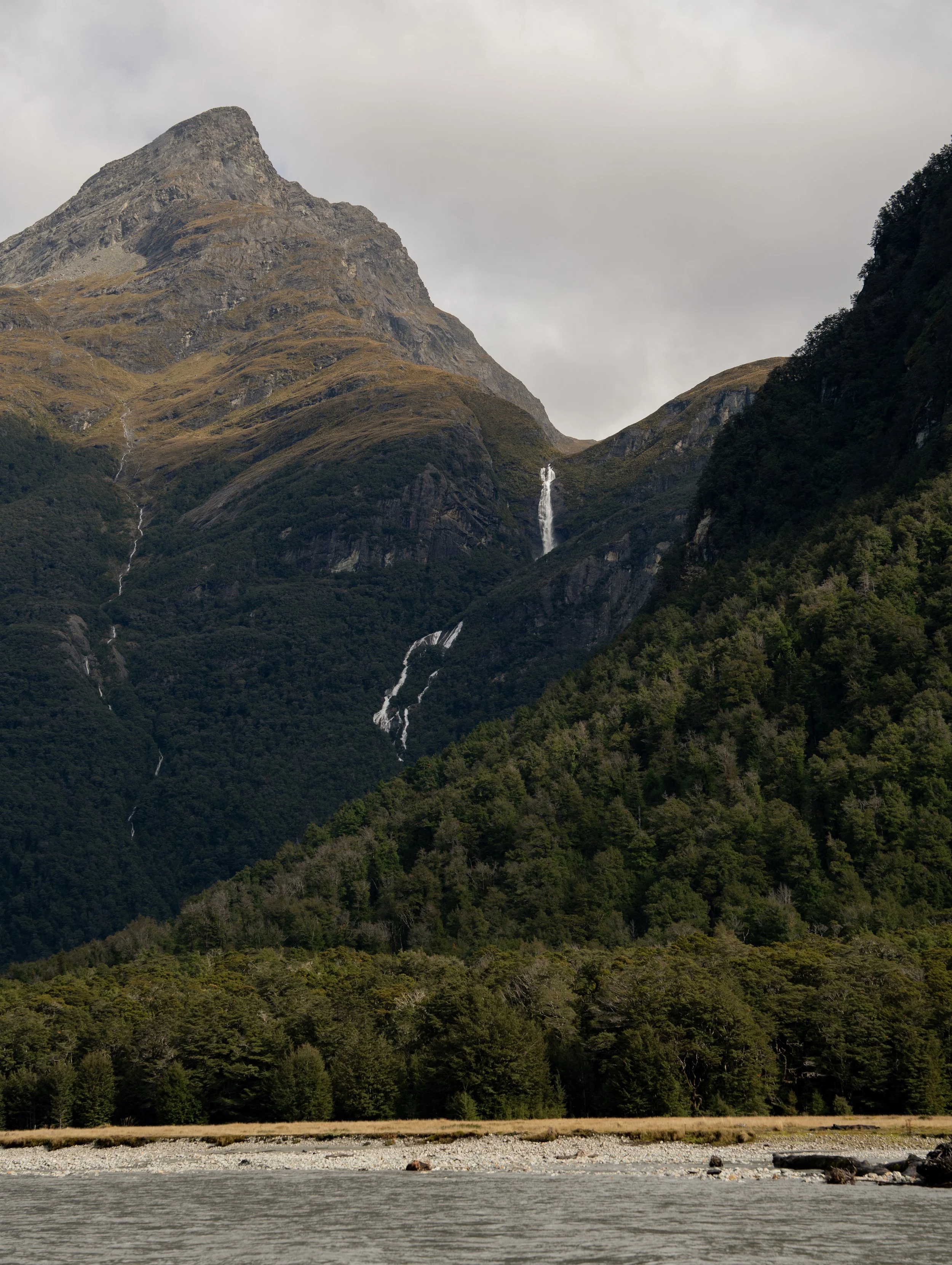 NZT03545.jpg