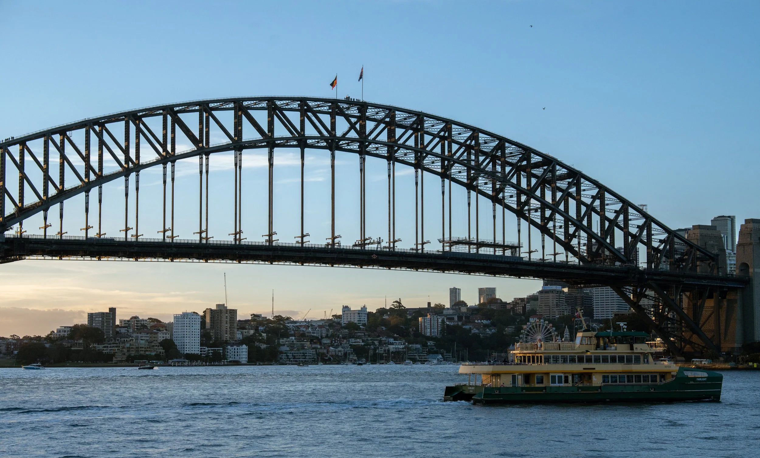 NZT03980-2.jpg