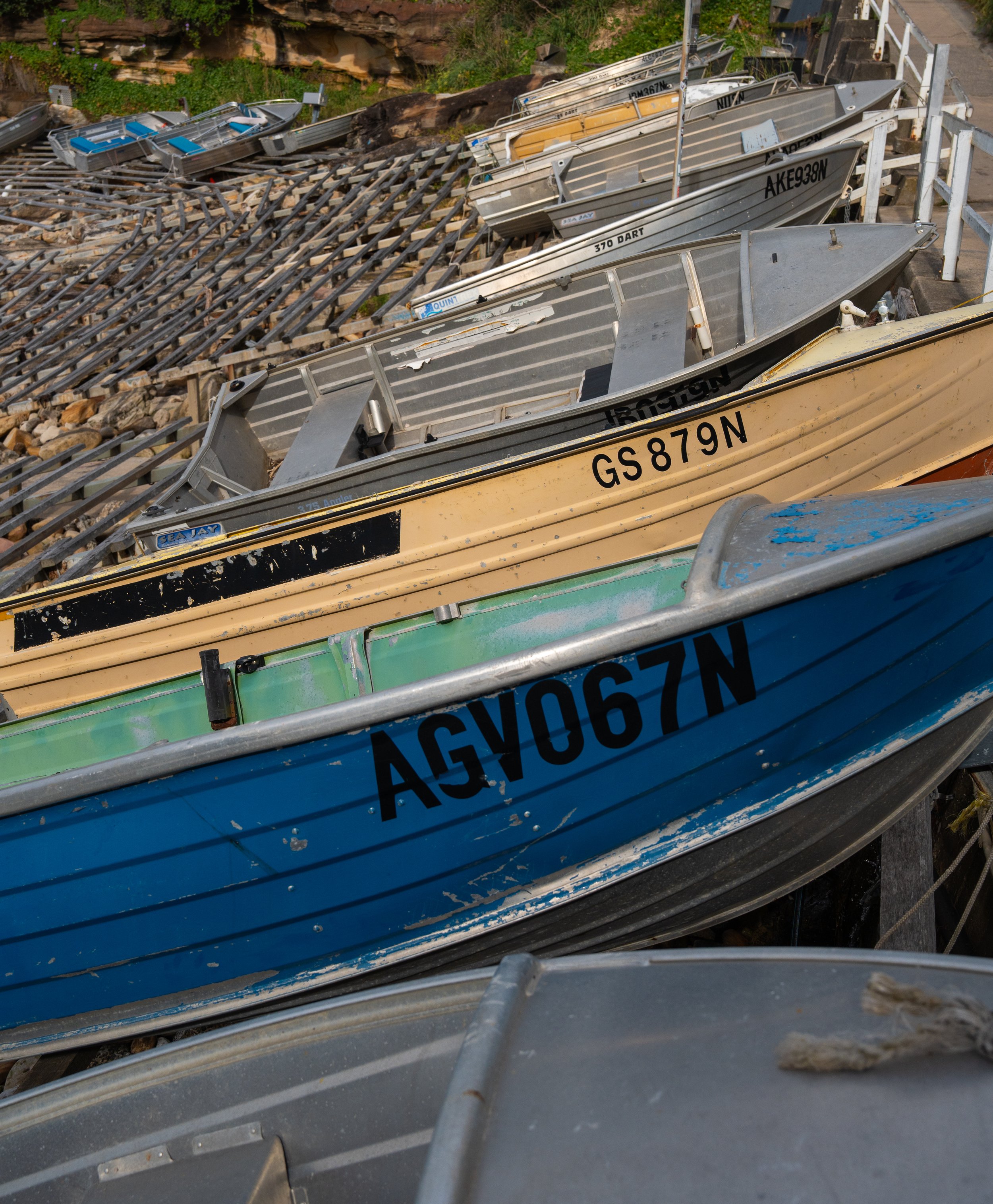 NZT03873 copy.jpg