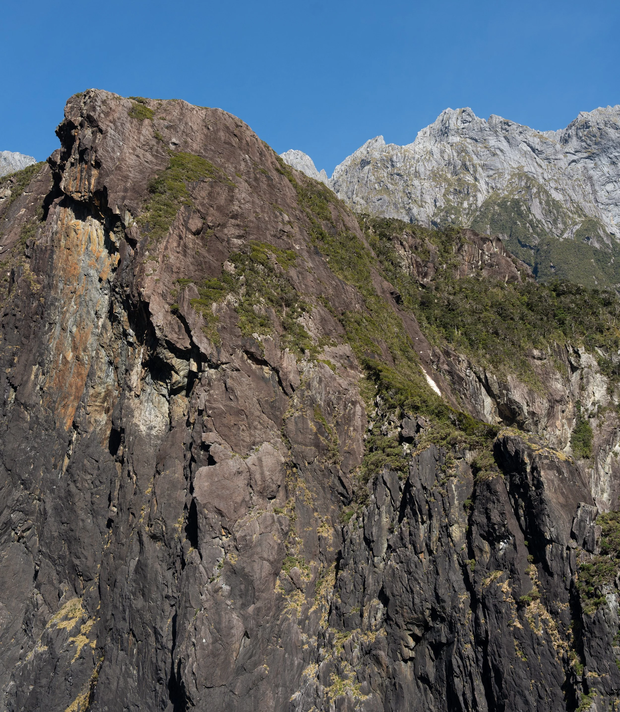 NZT03626.jpg