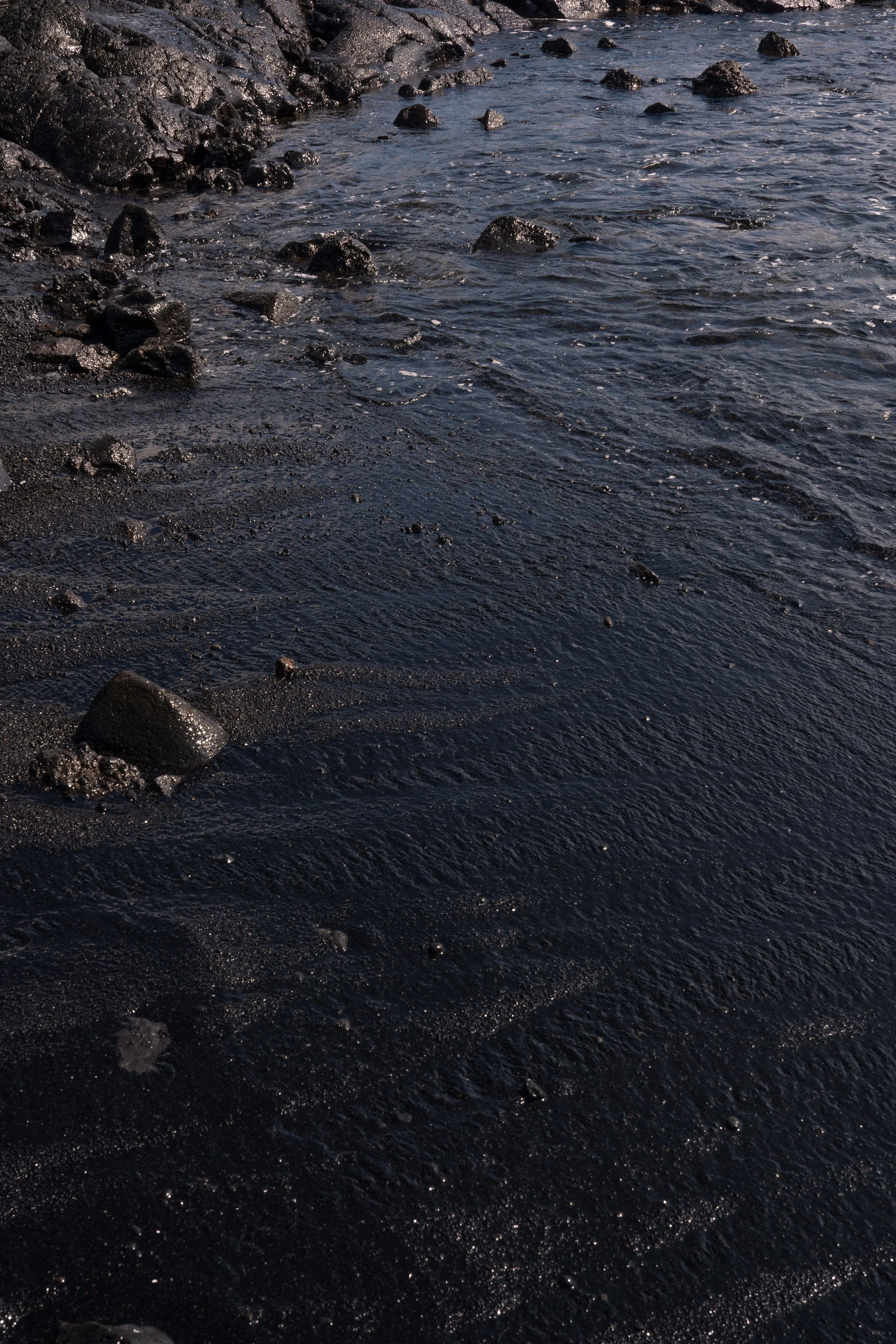 DSC01311-2.jpg