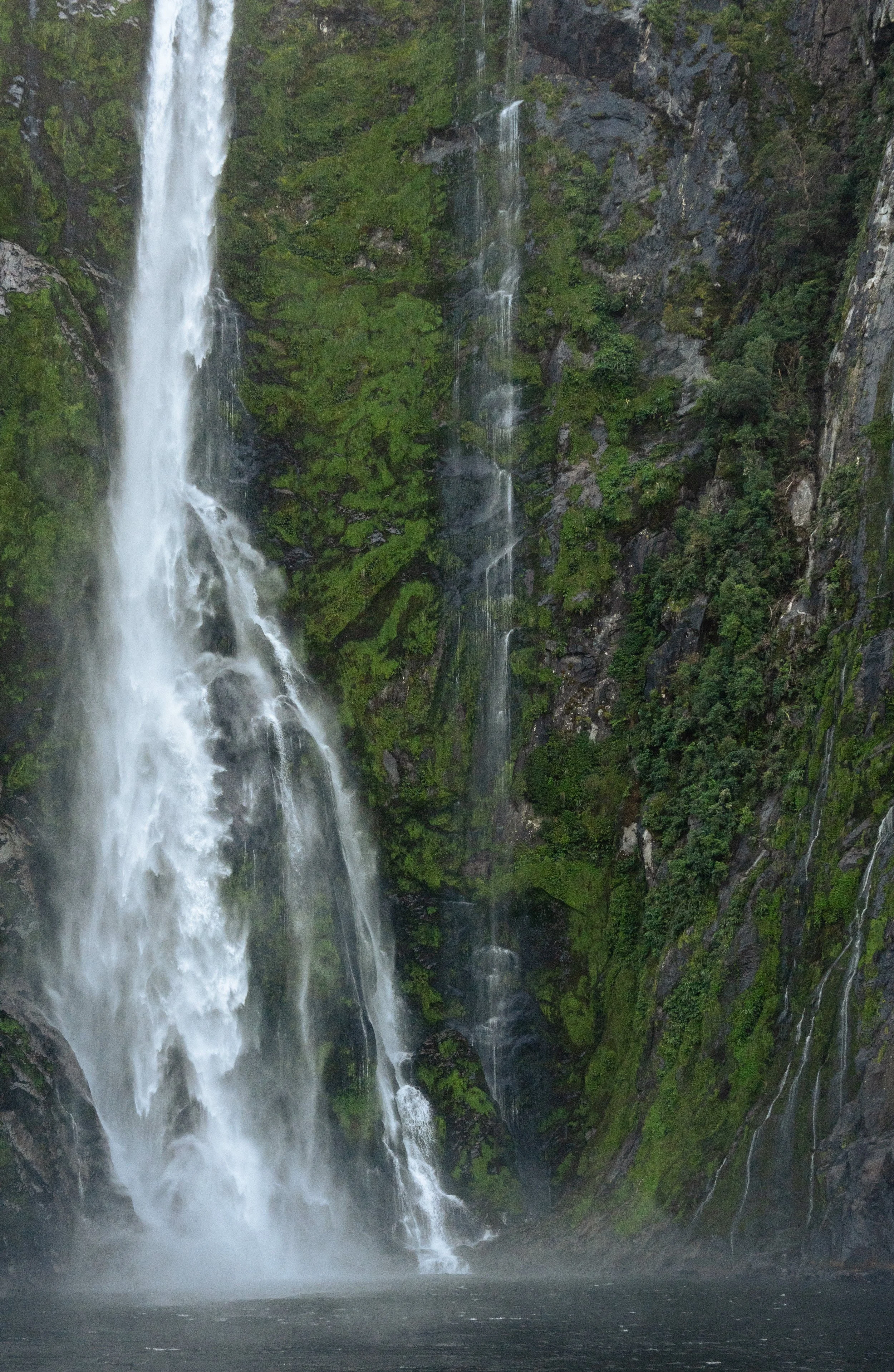 NZT03668.jpg