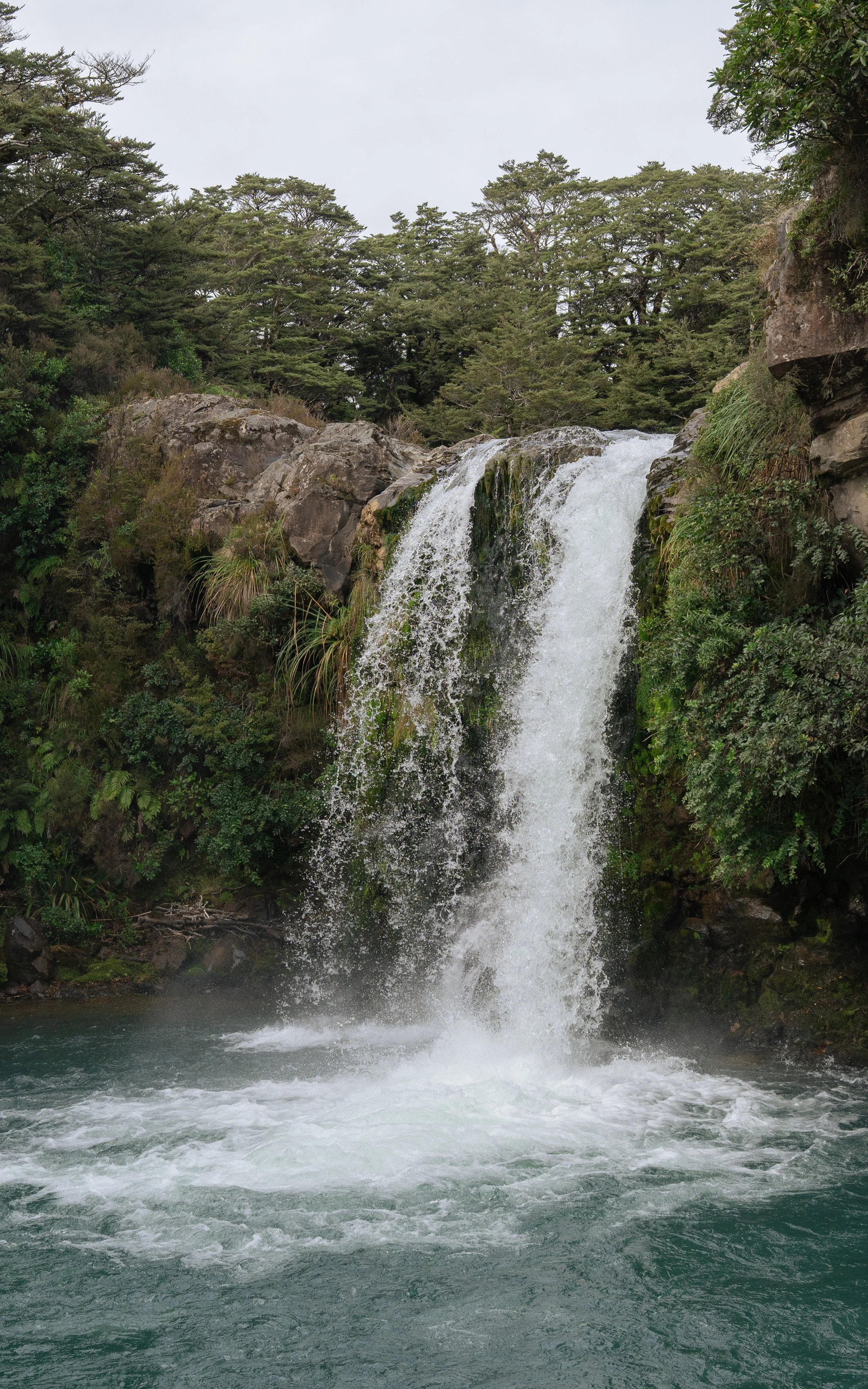 NZT03287-2.jpg