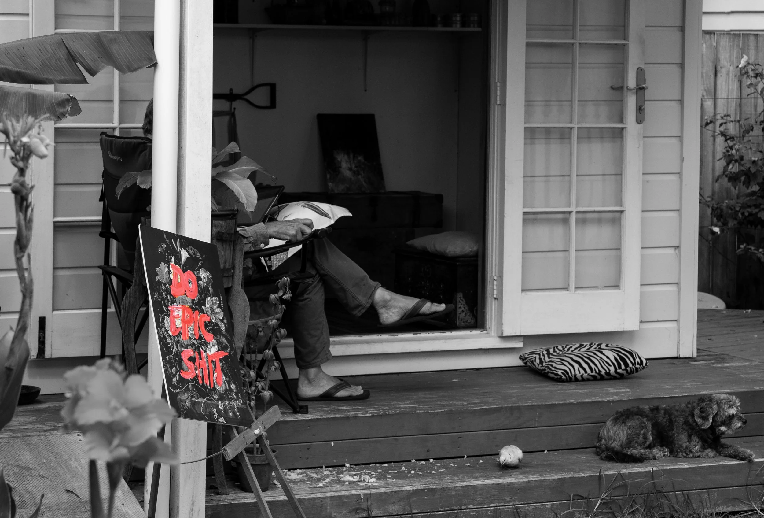 NZT03255bw.jpg