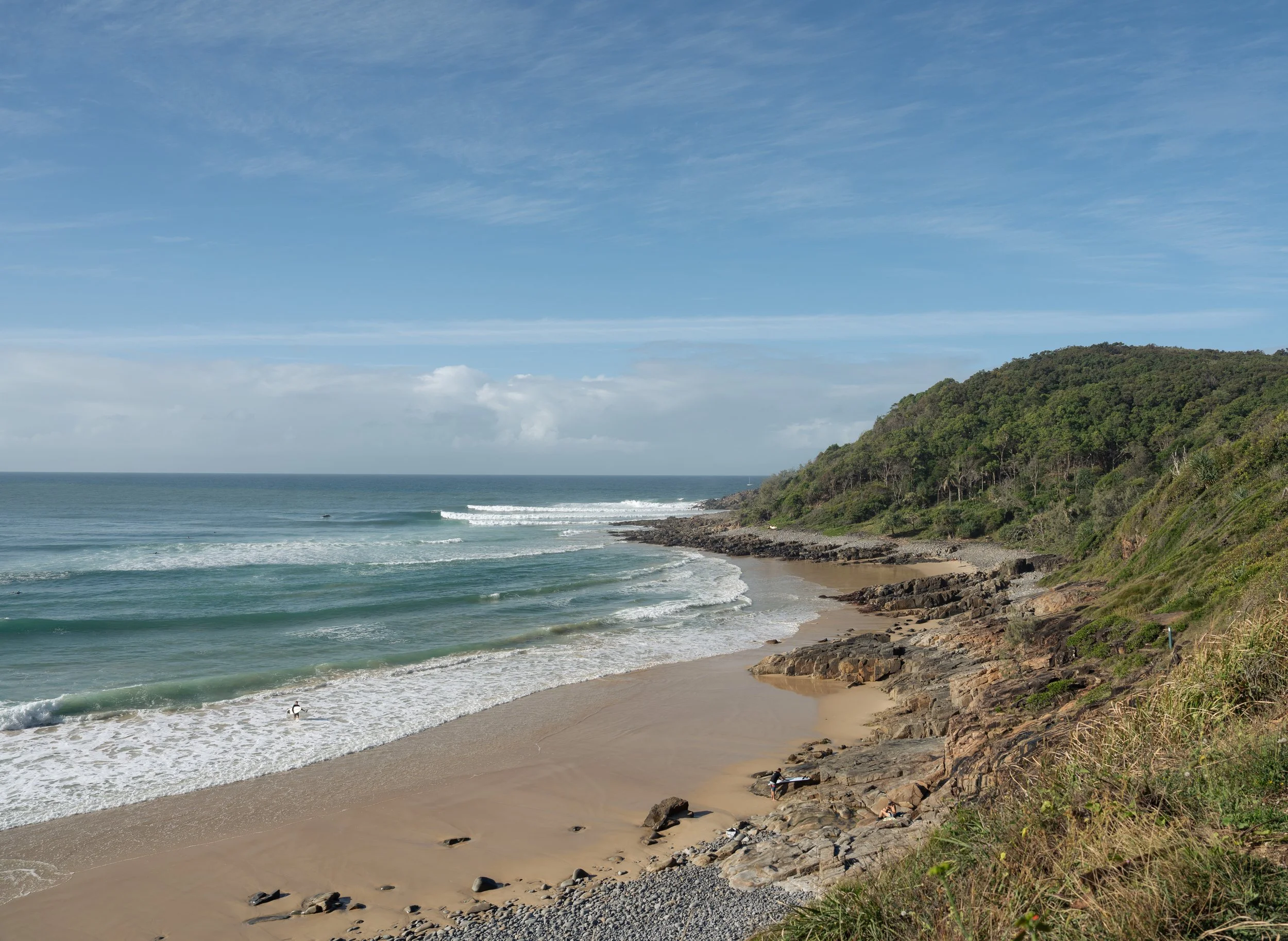 NZT04173.jpg