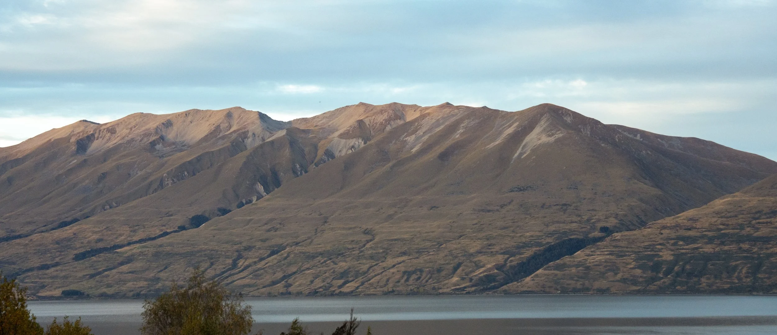 NZT03715.jpg