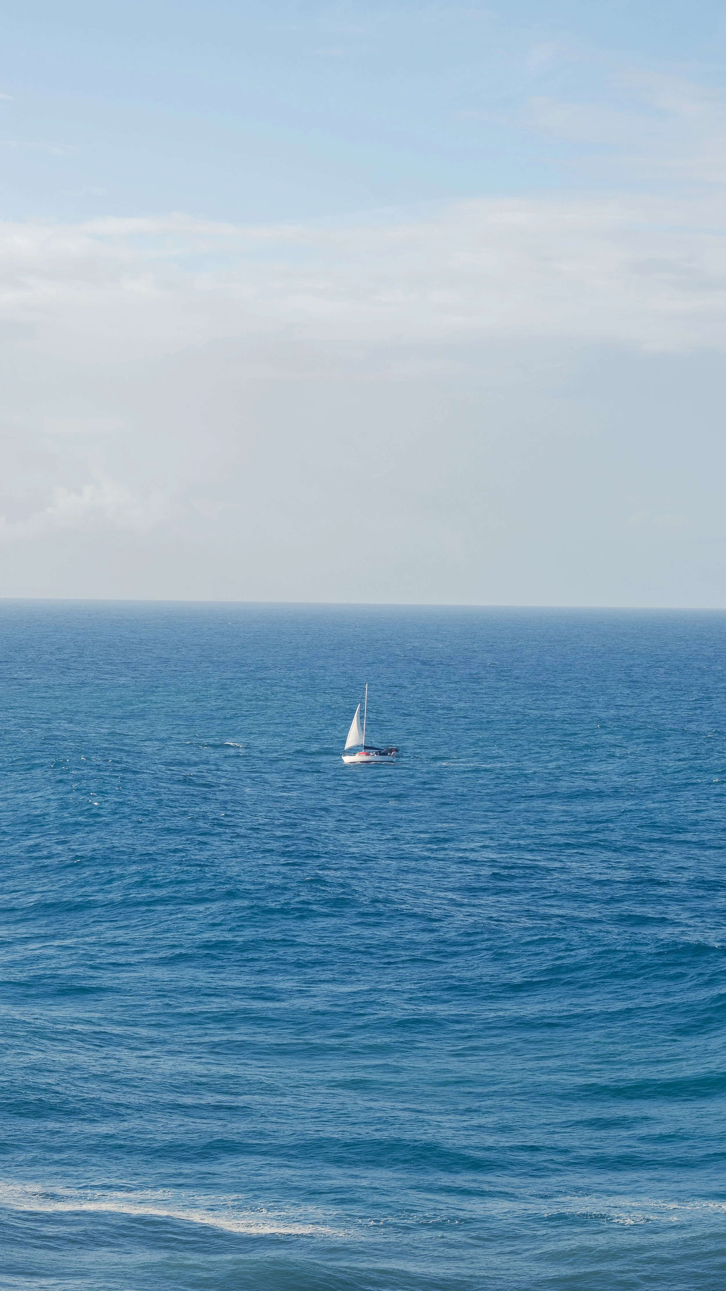 NZT04219-2.jpg