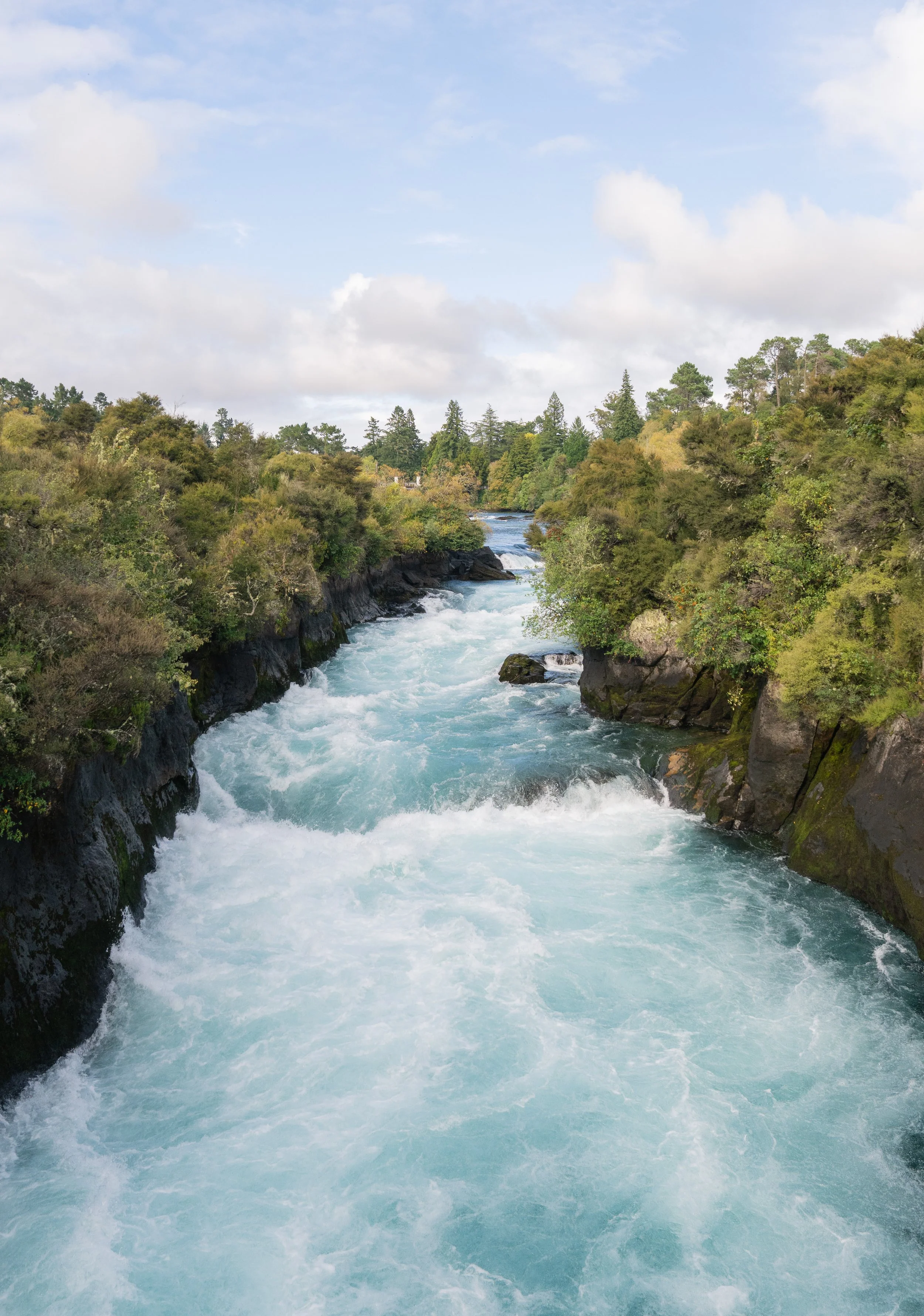 NZT03263-3.jpg