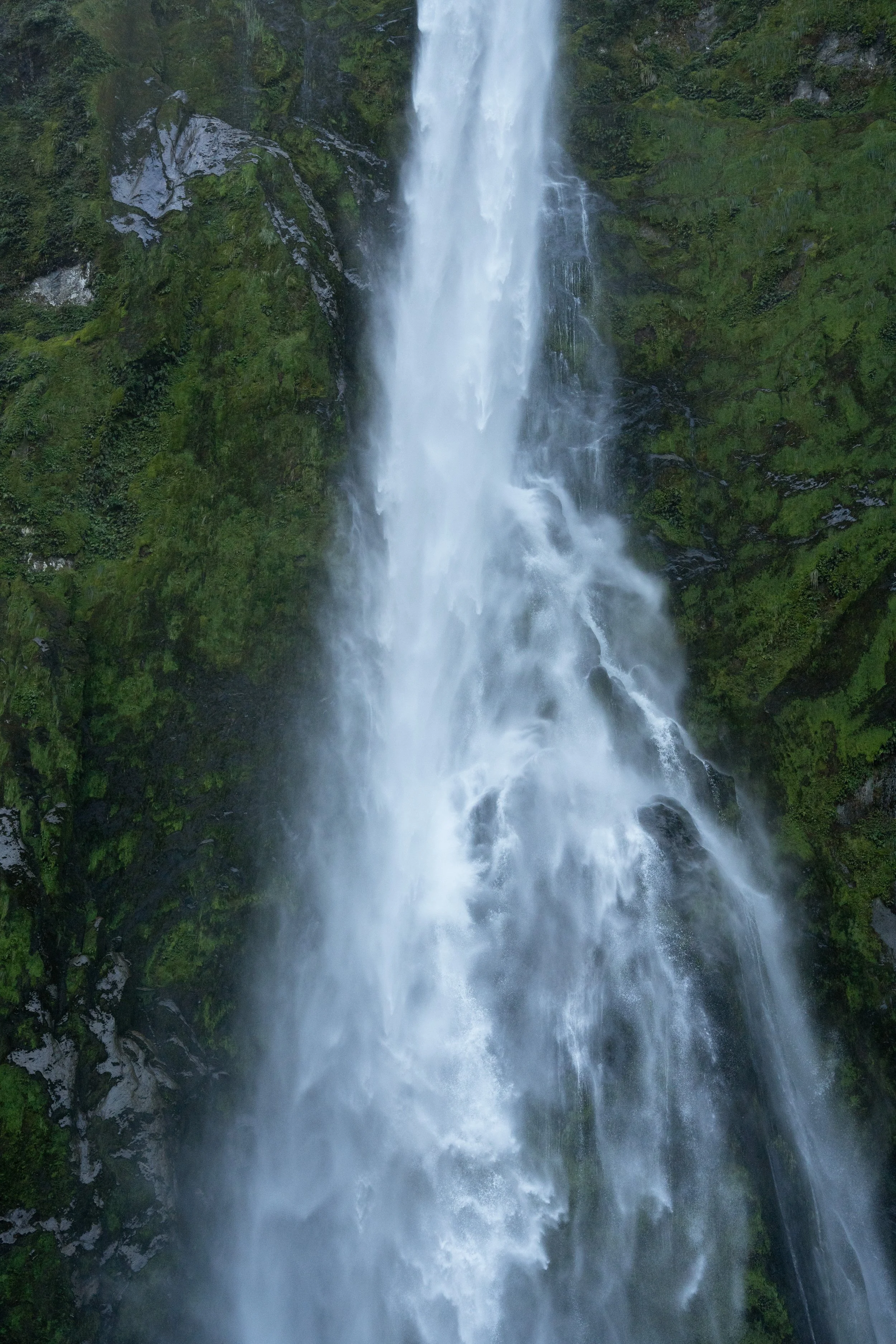 NZT03664-2.jpg